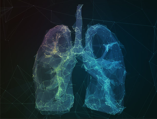 人类肺脏