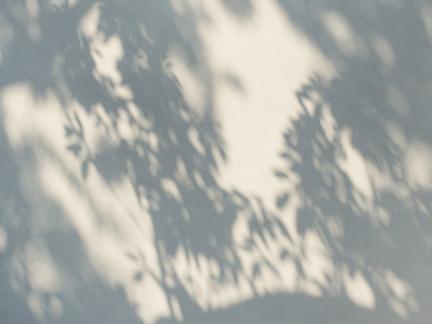 shadow