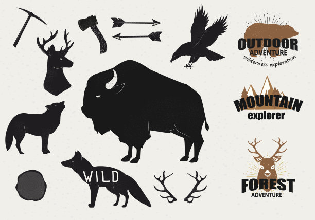 bison
