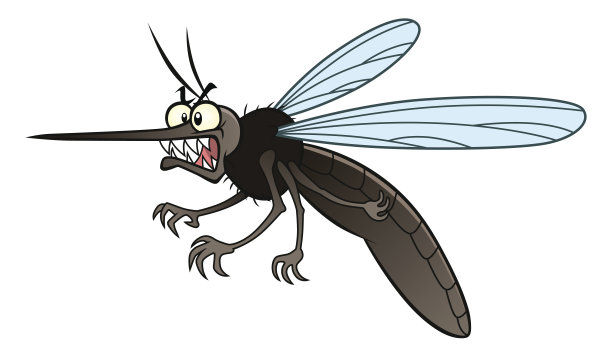 mosquito
