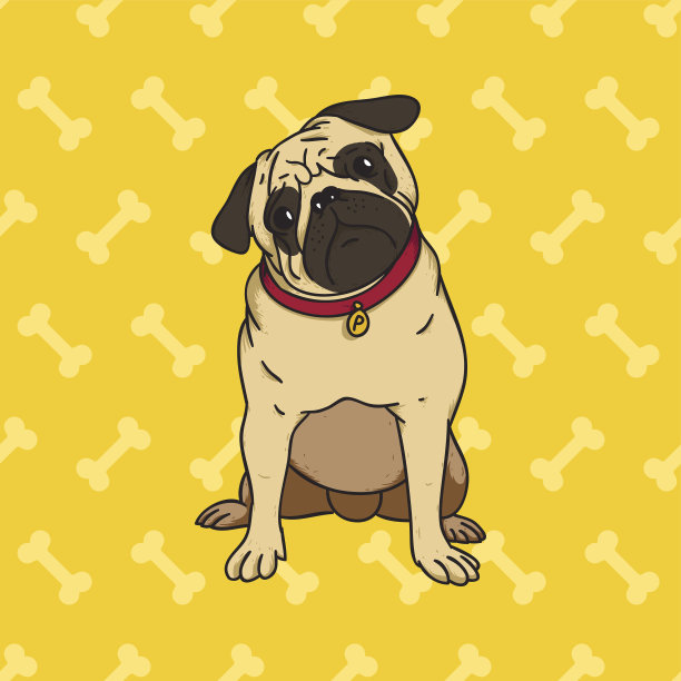 pug