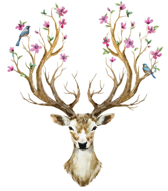 deer