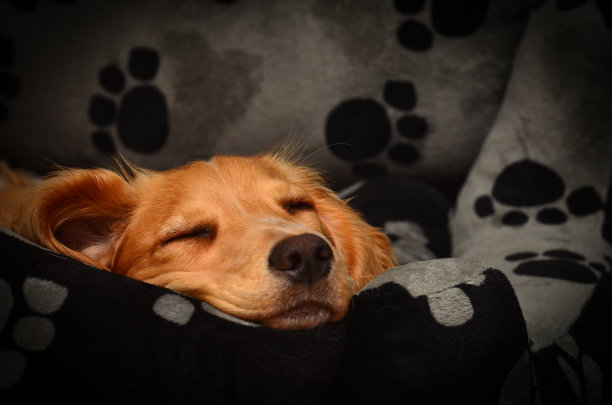 comfort