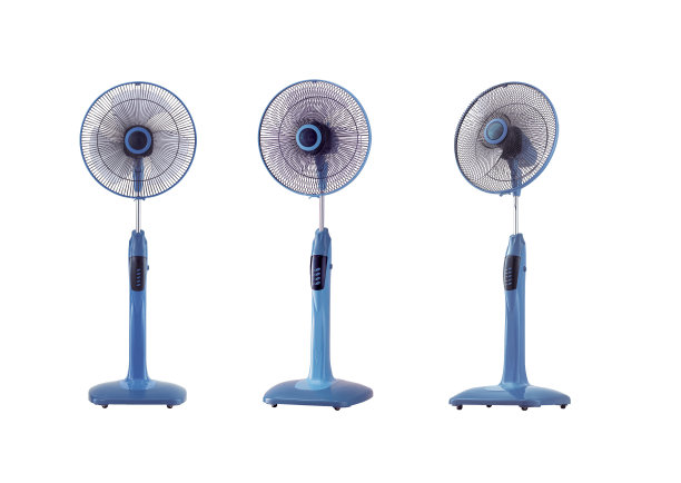 fan