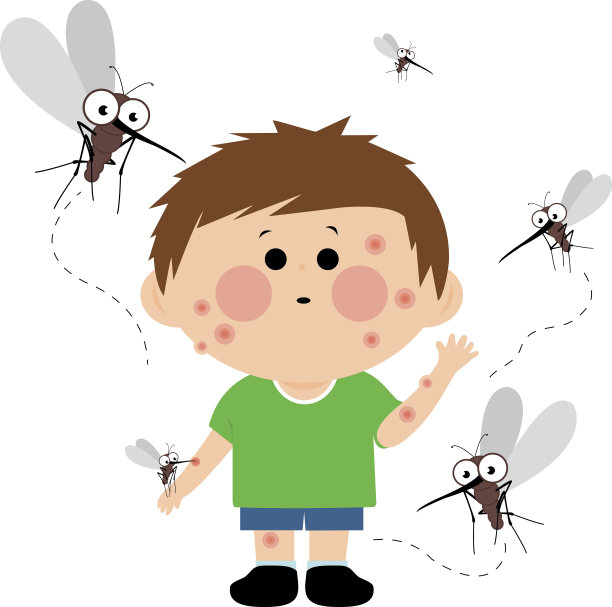 mosquito