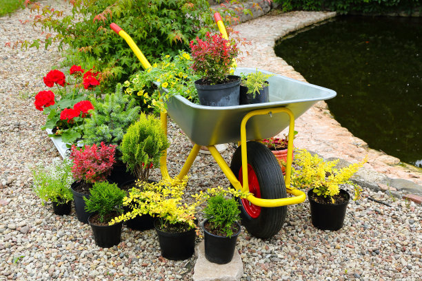 wheelbarrow