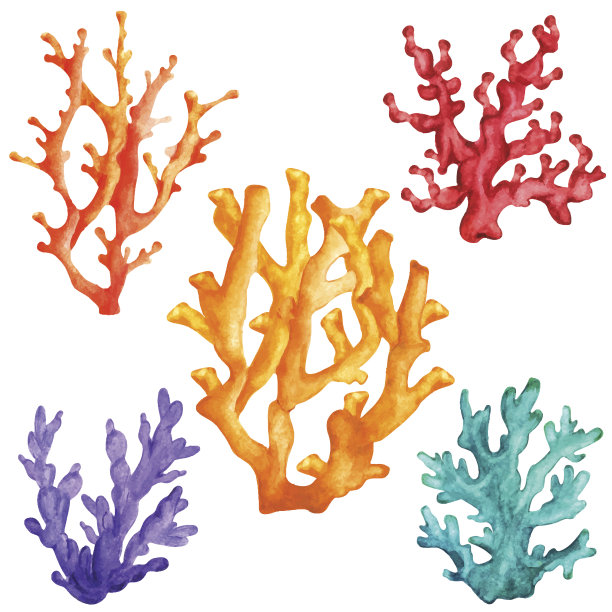corals