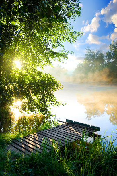 scenics