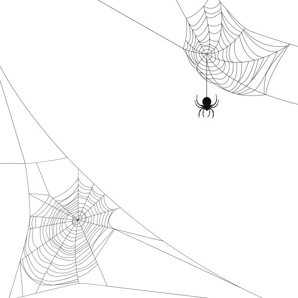 spider