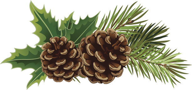 cone