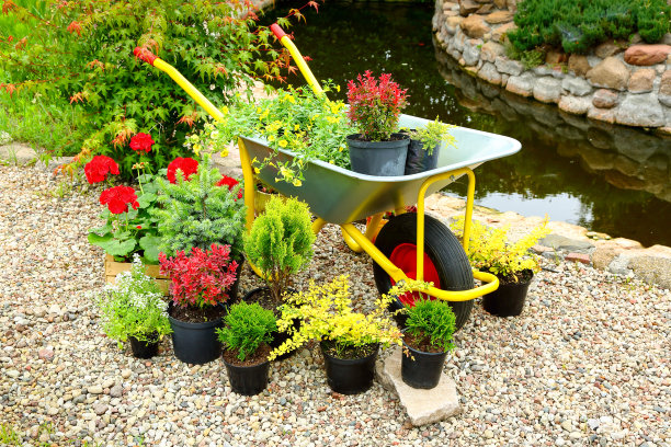 wheelbarrow
