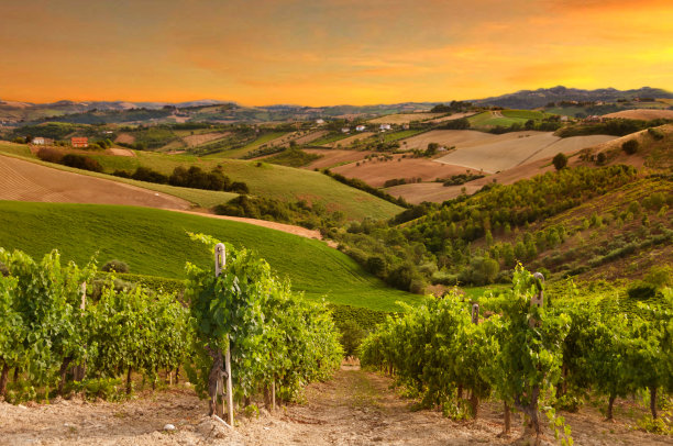 bordeaux