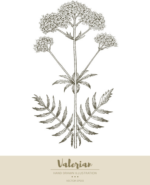 ayurveda