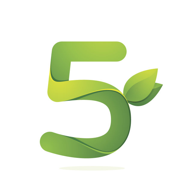5牌