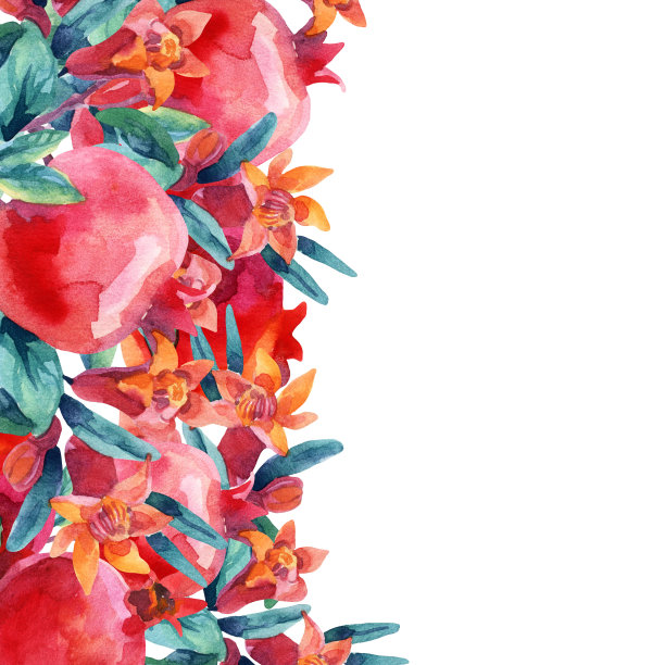 石榴插画