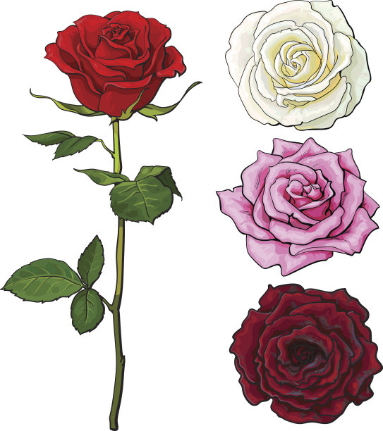 roses
