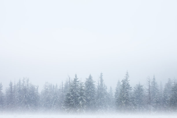 雪景 大雪 雪 自然风景