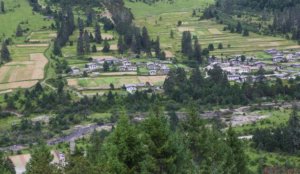 guarda