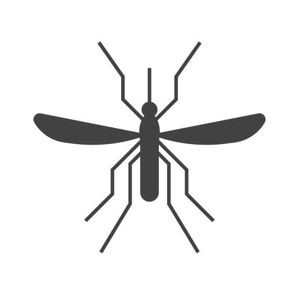 mosquito