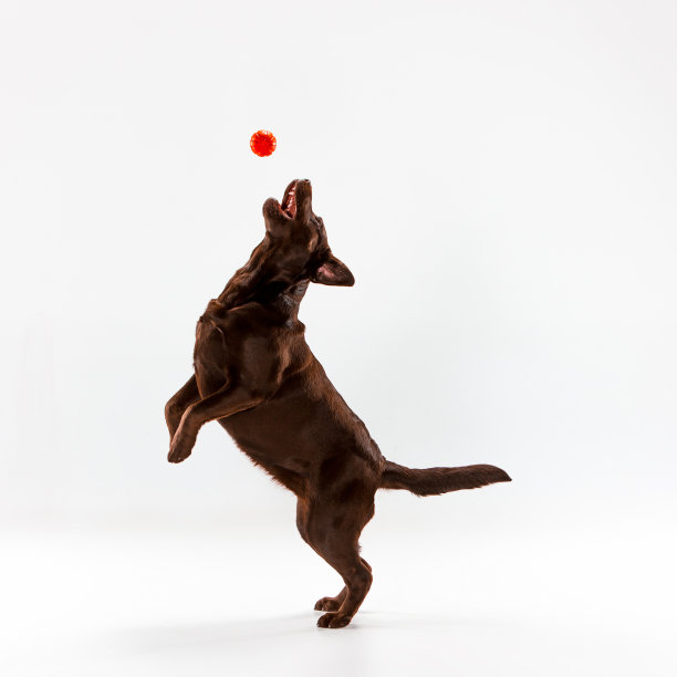 leaping
