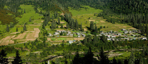 guarda