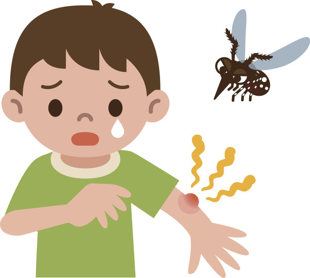mosquito