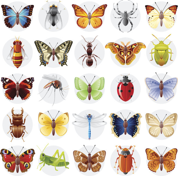 entomology