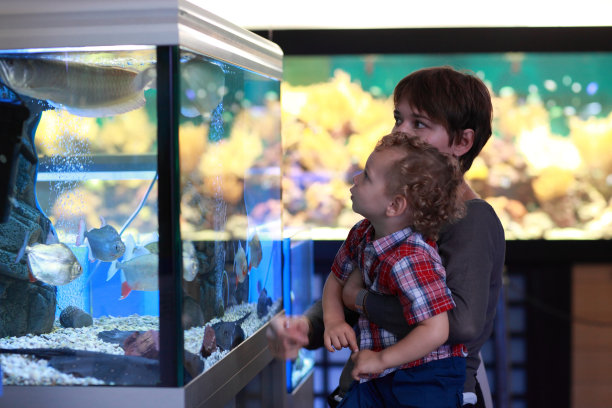 aquarium