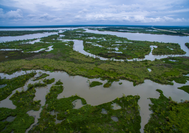 marsh