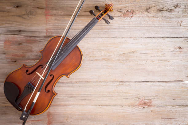 fiddle