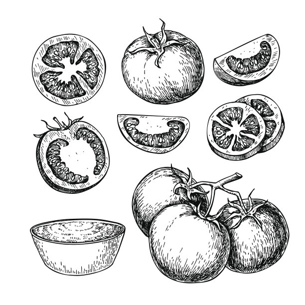 lycopersicon