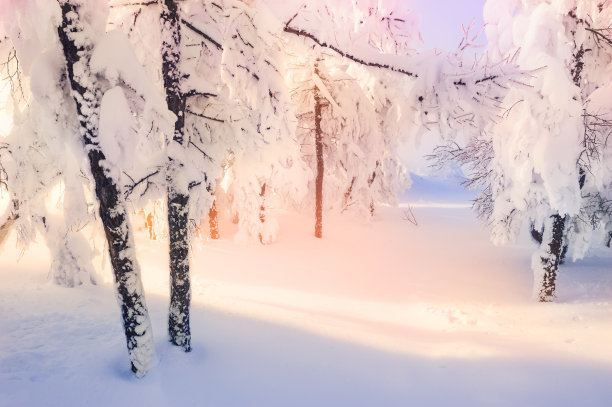 冰天雪地 冬天 雪景 风景 自