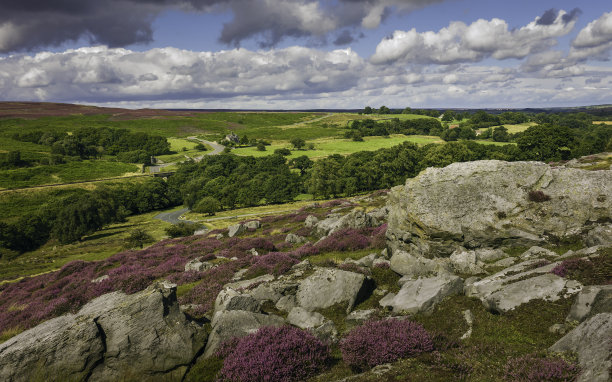 heath