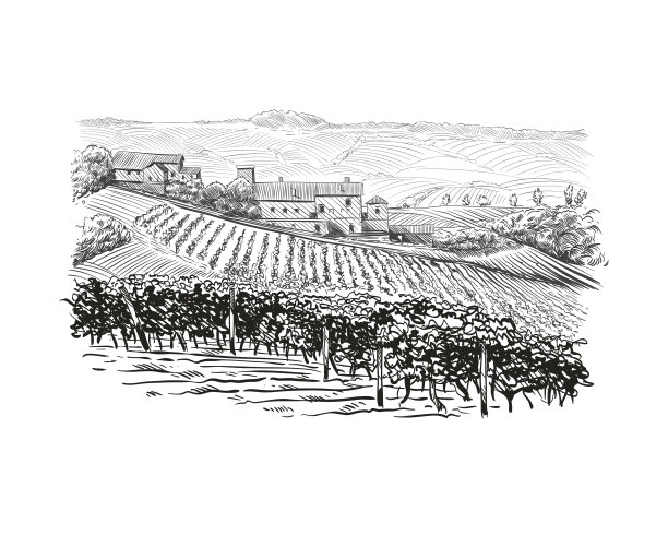 vineyard
