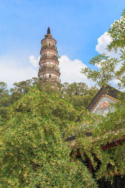 foshan