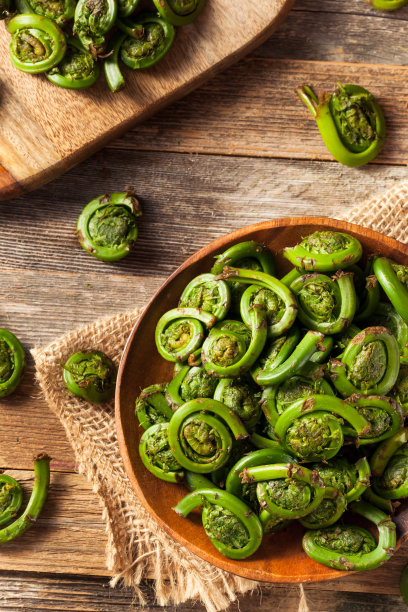 fiddlehead