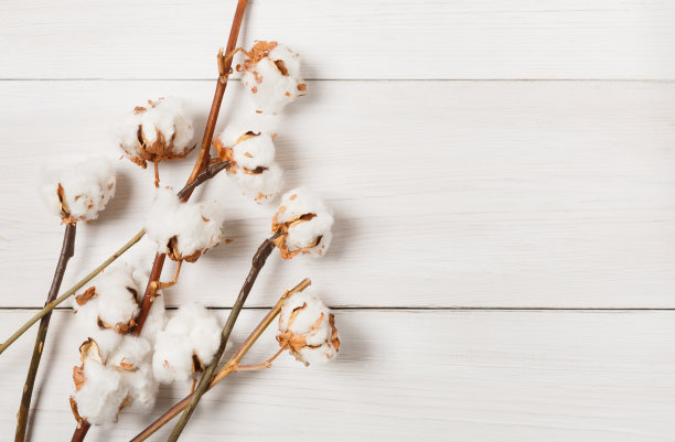 cotton