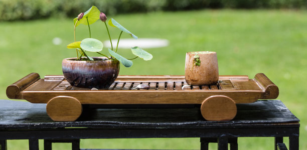 bonsai