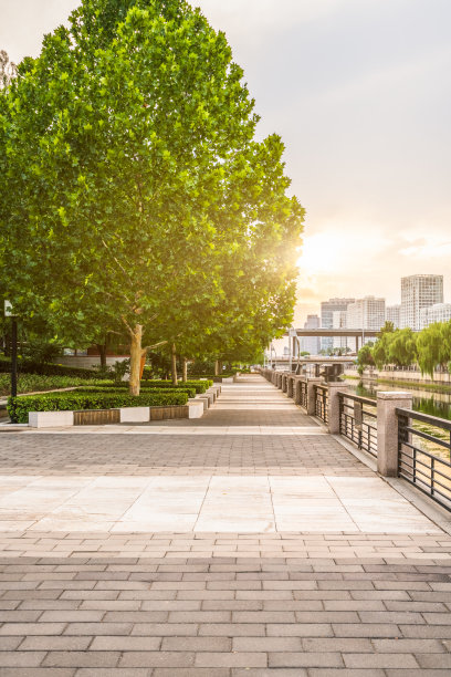 全国生态日背景
