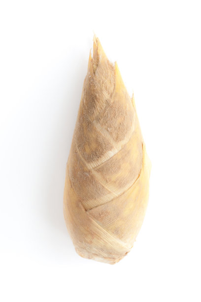 诺斯洛普b-2