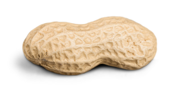 peanut