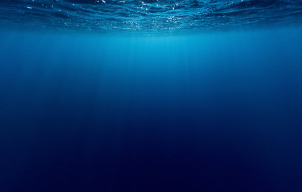 大海