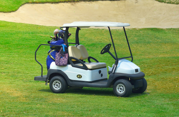 buggy