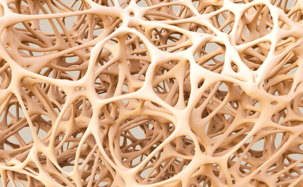 bone