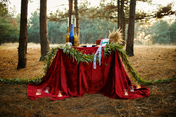 爱丽丝森林婚礼