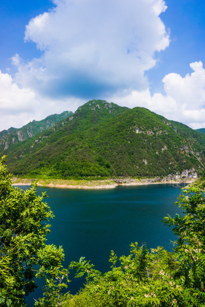 guarda