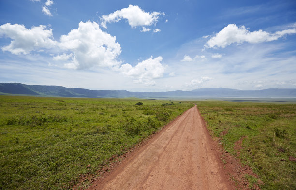 ngorongoro