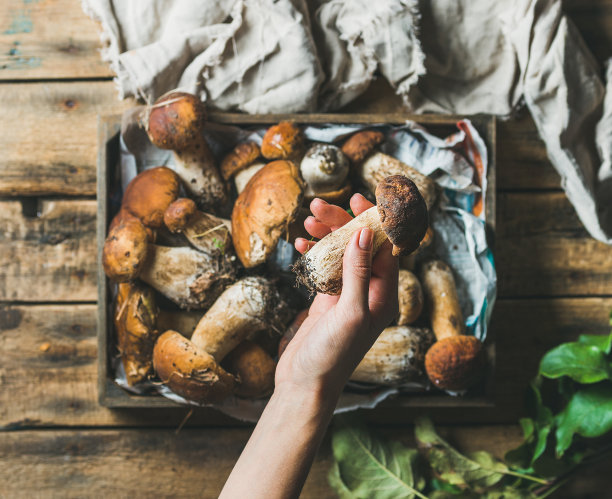 mushrooms