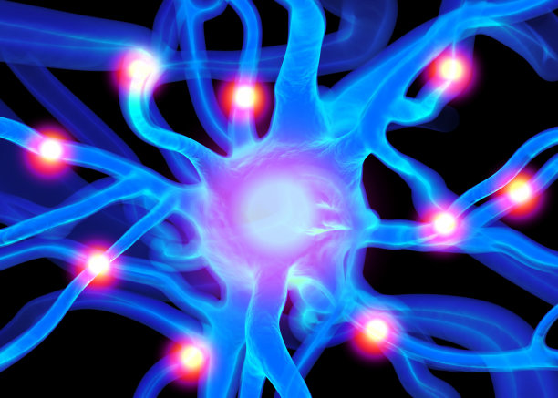 eeg