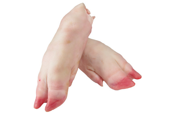trotter